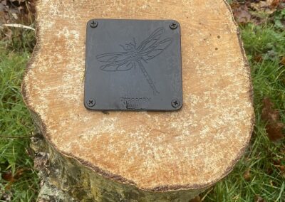 Brass Rubbing Wildlife Trail