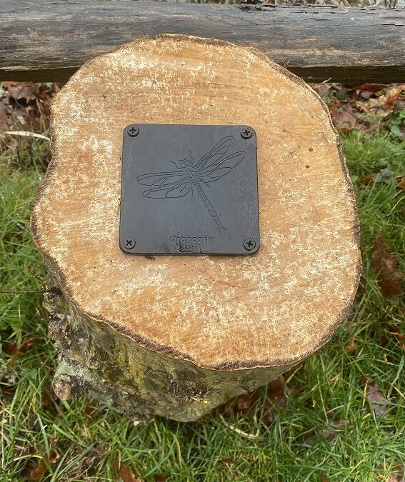 Brass Rubbing Wildlife Trail