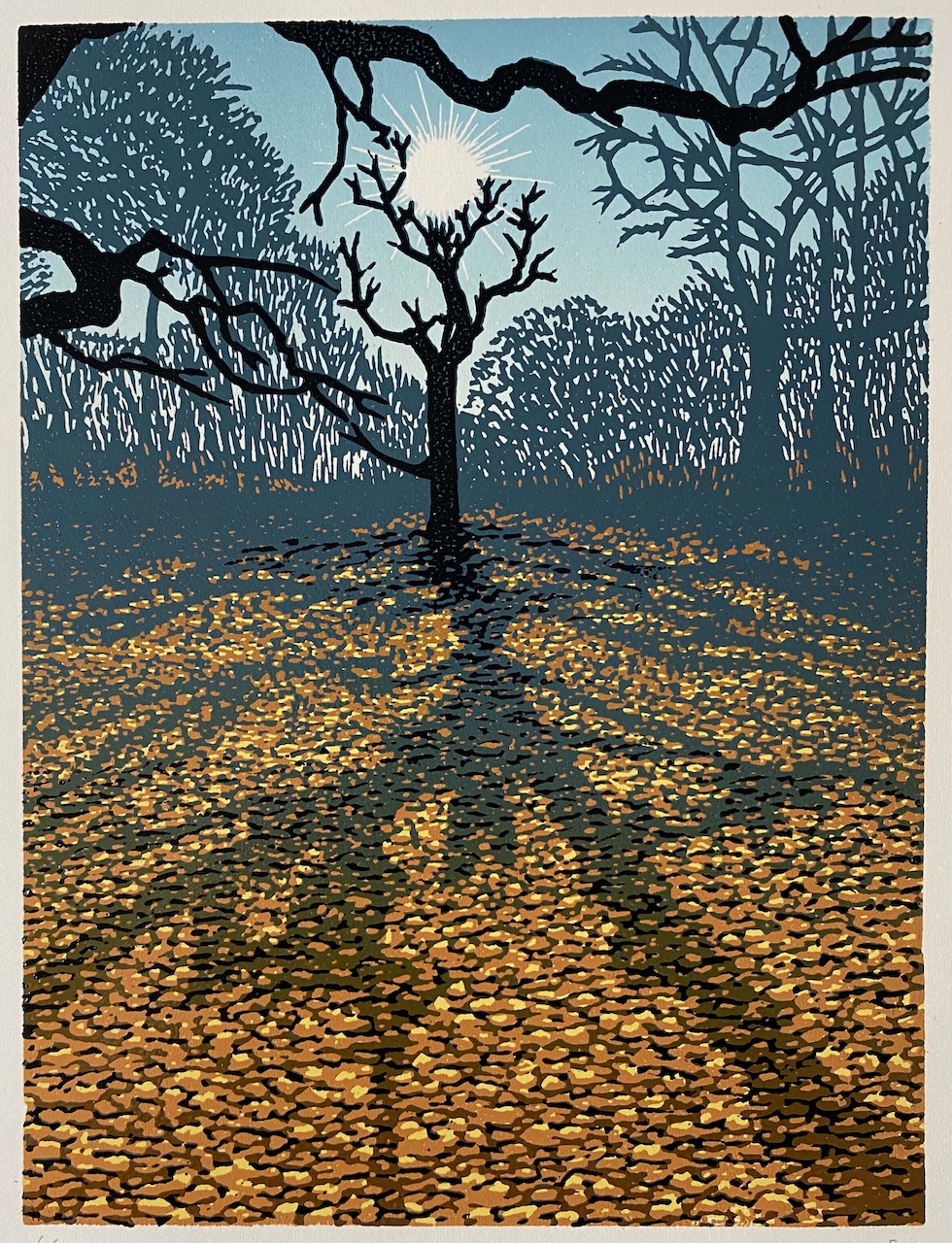 Eddie Curtis Oak Wood in January