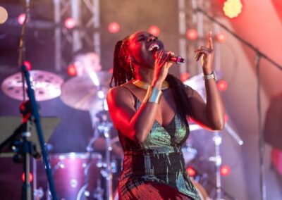 Exbury Festival of Music: Motown by Moonlight