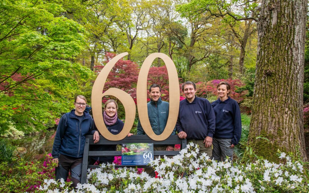 Exbury Gardens marks diamond anniversary of its famed Azalea Bowl