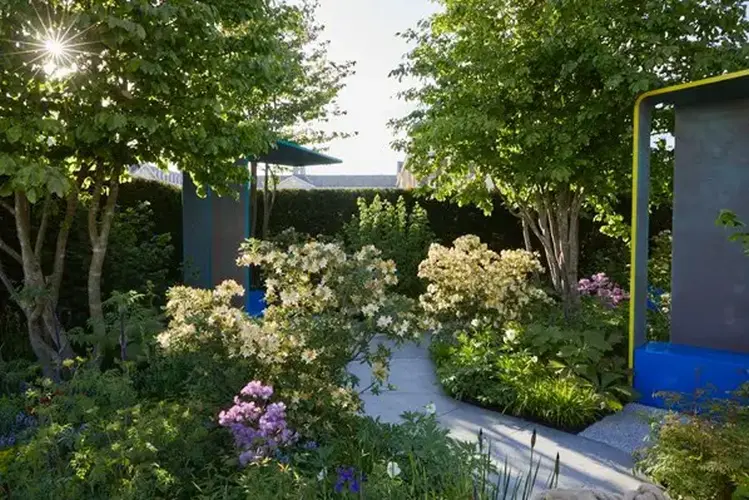 Rare dementia garden relocates to Exbury