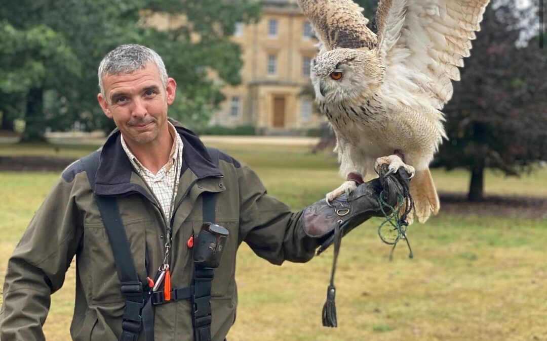 Falconry Days
