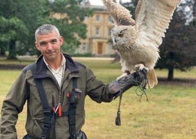 Falconry Days