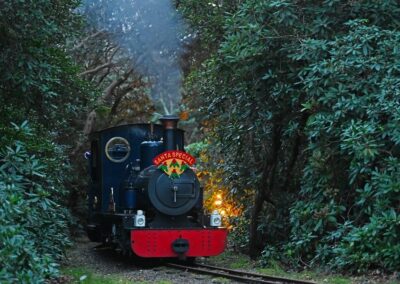 Festive Express Railway Experience