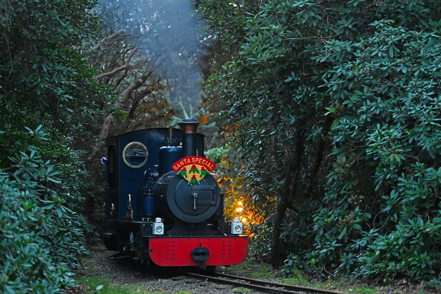 Festive Express Railway Experience