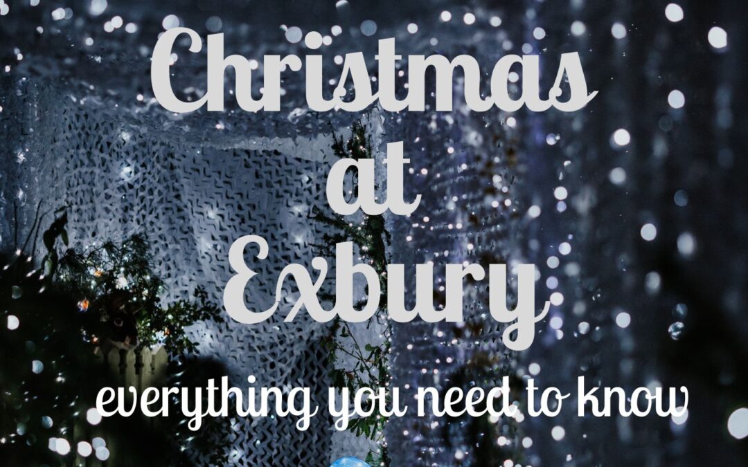 Christmas at Exbury – everything you need to know