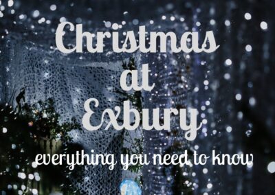 Christmas at Exbury – everything you need to know