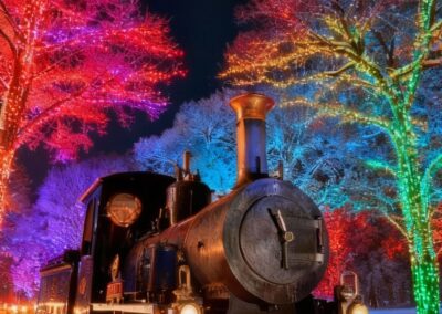Christmas Night Train