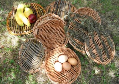 Weaving Spring Platters Willow Workshop