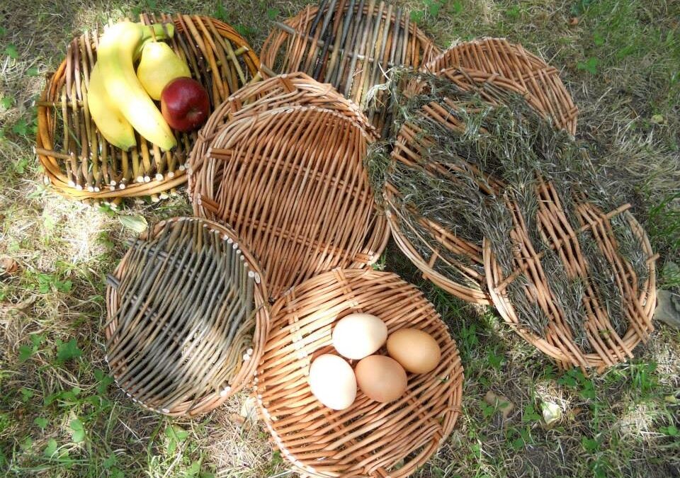 Weaving Spring Platters Willow Workshop