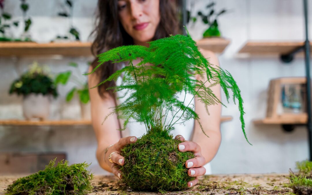 Kokedama Workshop