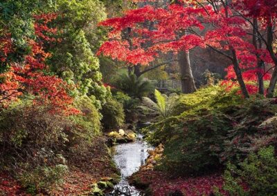 Head Gardener’s Autumn Tours